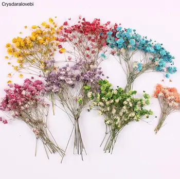 120 adet Preslenmiş Kurutulmuş Çiçek Gypsophila Paniculata Dolgu Epoksi Reçine Takı Yapımı Kartpostal Çerçevesi telefon kılıfı Zanaat DIY