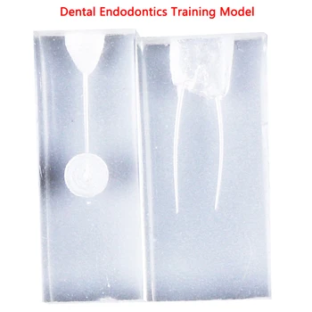 2 Stilleri Endodonti Öğrenci model beyin Uygulama Modeli Diş Hekimliği Diş Endo Eğitim Bloğu