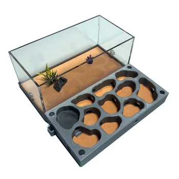 3D Akrilik Düz Karınca Çiftliği Ekolojik Karınca Yuvası Besleme Alanı ile Beton Karınca Evi Pet Karınca Yuvası Atölye Nemlendirici Su Havuzu Yeni
