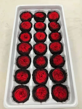 Doğal Korunmuş Çikolata Austin Gül Çiçek Kafa Kutusu DIY Malzeme Dekorasyon Çiçek Düzenleme
